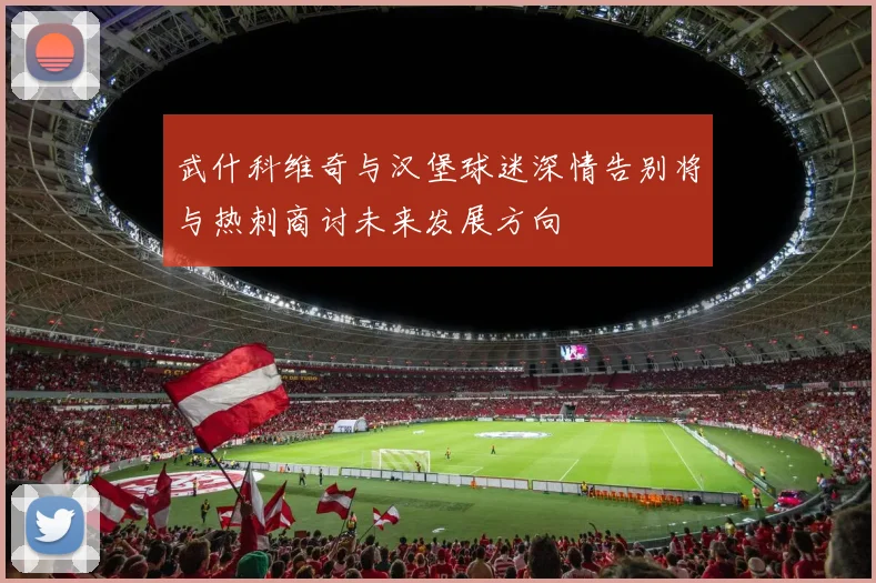 武什科维奇与汉堡球迷深情告别将与热刺商讨未来发展方向