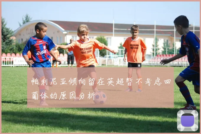 帕利尼亚倾向留在英超暂不考虑回葡体的原因分析
